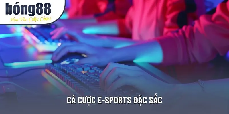 Cá cược E-Sports đặc sắc