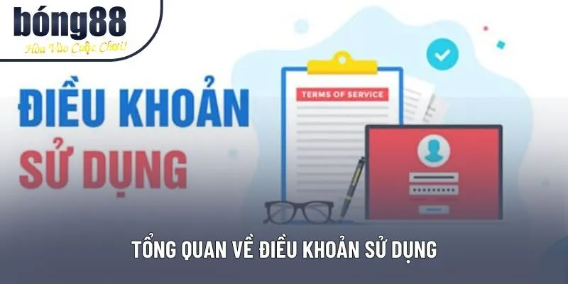 Tổng quan về điều khoản sử dụng