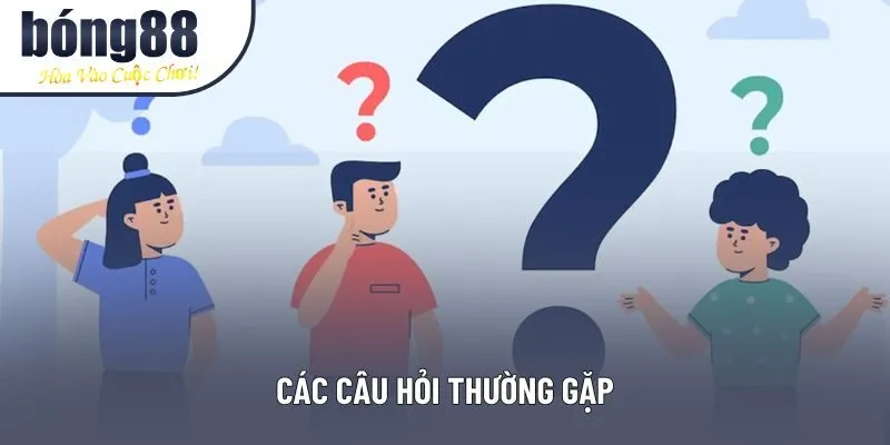 Các câu hỏi thường gặp