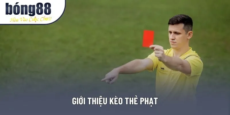 Giới thiệu kèo thẻ phạt