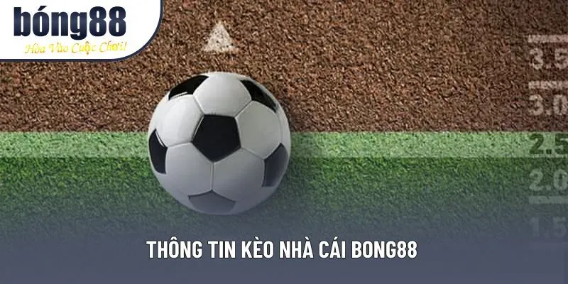 Thông tin kèo nhà cái Bong88